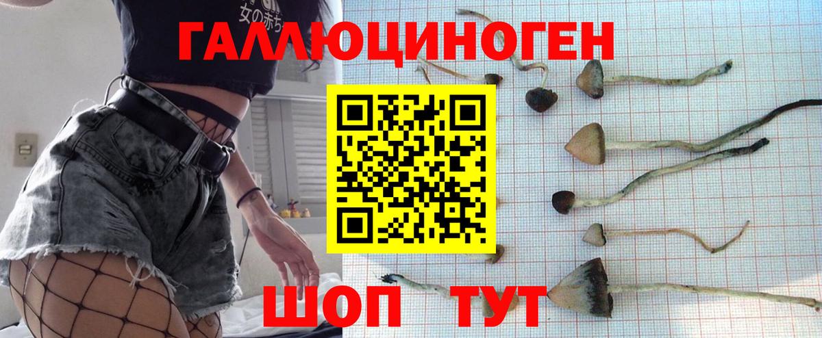 Миллерово  Псилоцибиновые грибы GOLDEN TEACHER  Псилоцибиновые грибы Psilocybine cubensis  продажа наркотиков  Вход с VPN 